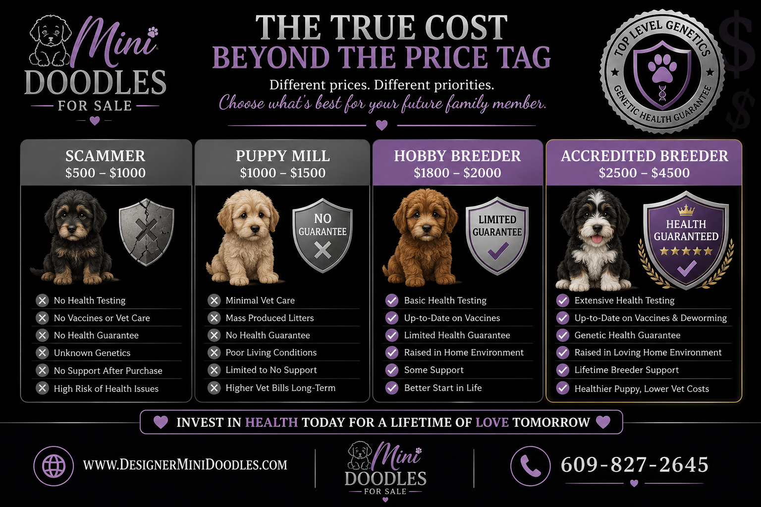 Mini Doodle Puppy Training Tips