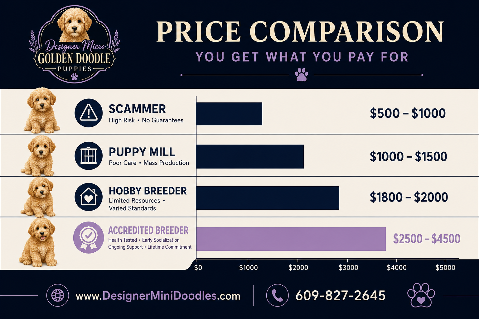 Micro goldendoodle prices