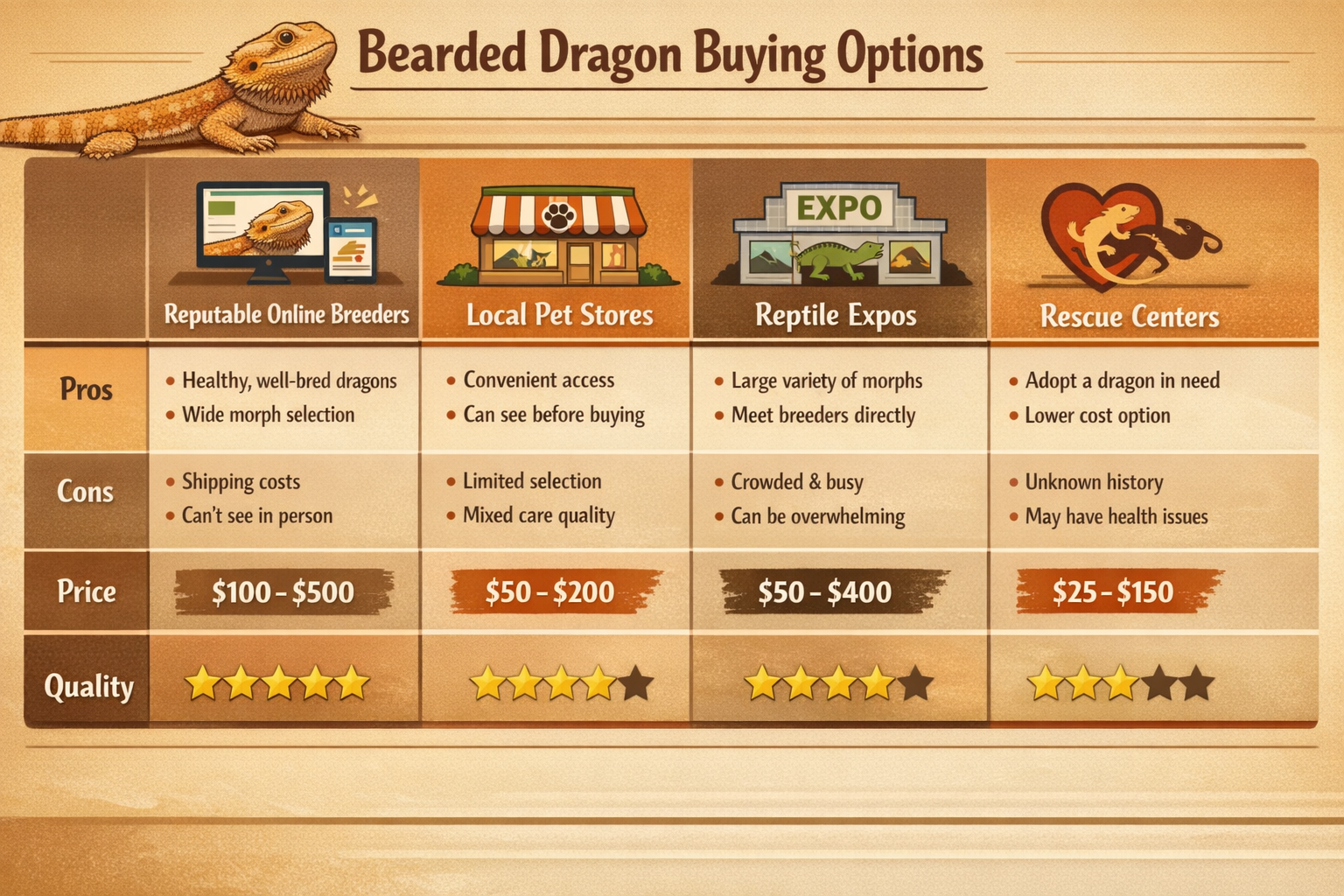 Detailed landscape format (1536x1024) image showing comparison chart of different bearded dragon purchasing options - reputable online breed