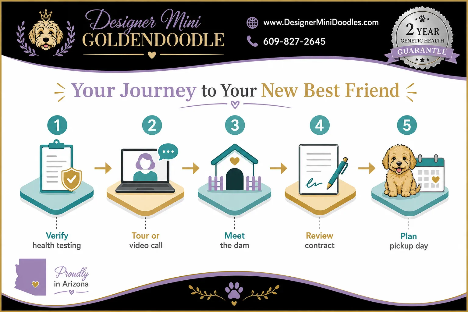 mini goldendoodle Breeder Phoenix