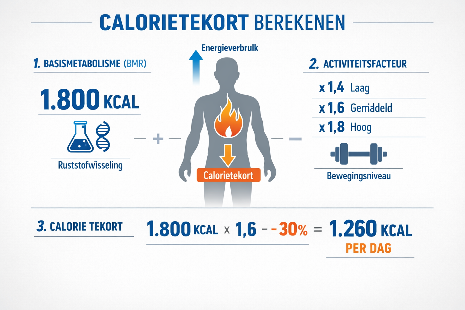 CRITICAL: ALL text, labels, headlines, annotations, and overlays in this image MUST be written in DUTCH. Do NOT use any English text. Every