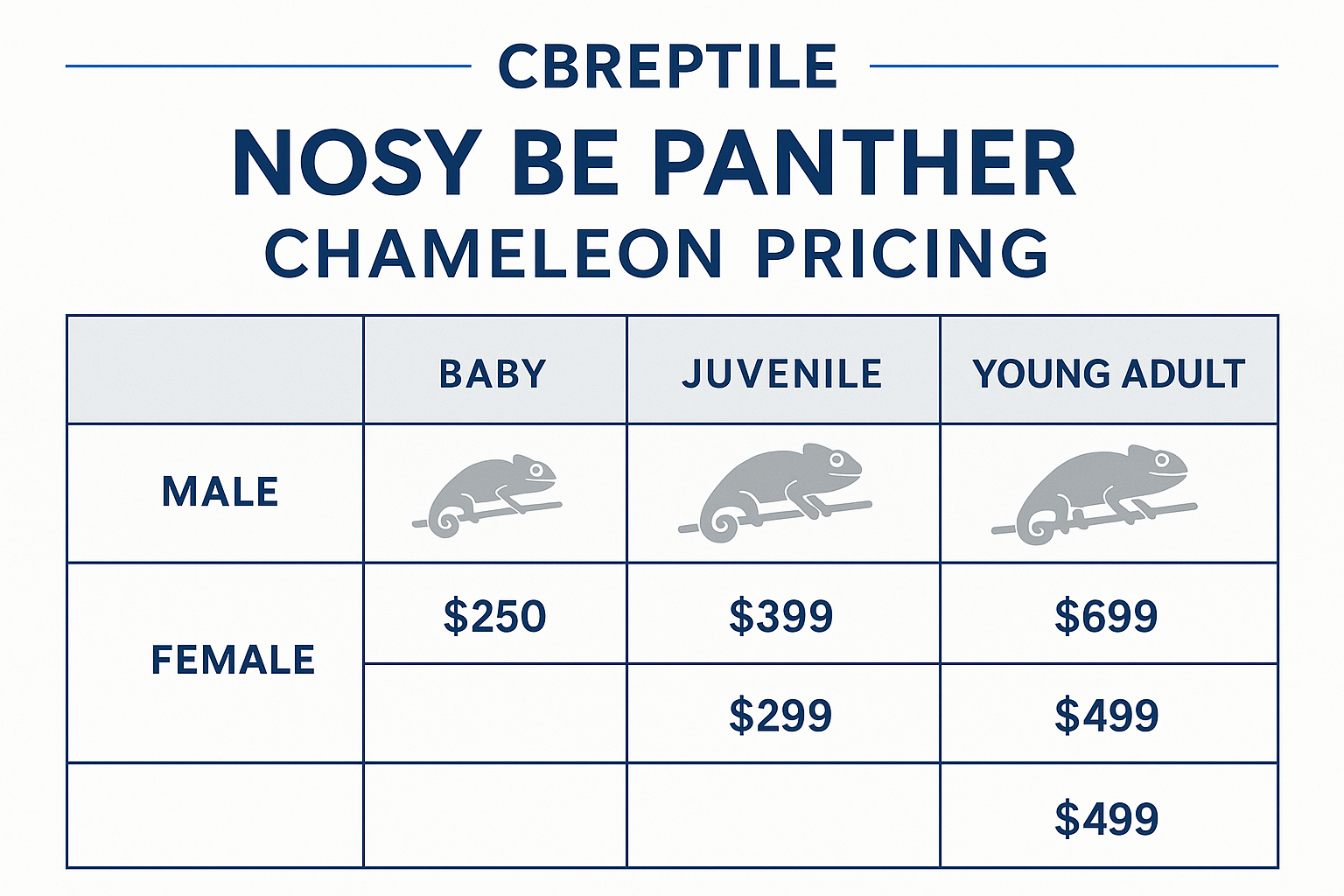 Professional breeding chart displaying Nosy Be panther chameleon pricing structure with male and female categories, age groups (baby, juveni