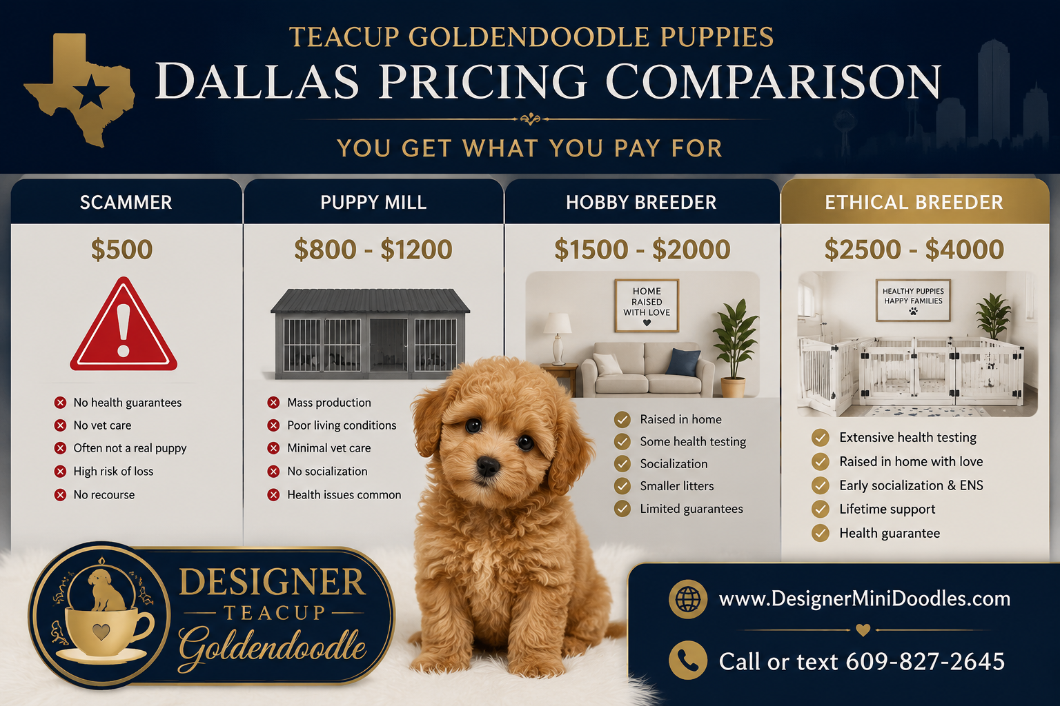 Average cost of a teacup Goldendoodle puppy in Dallas