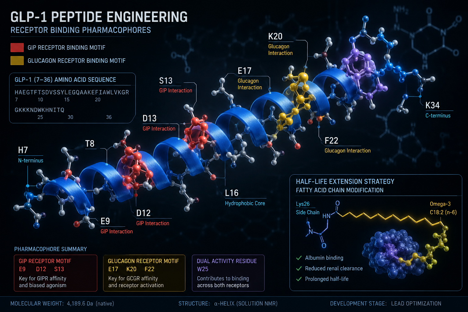 Rational Poly-Agonist Engineering: Building the Retatrutide Scaffold