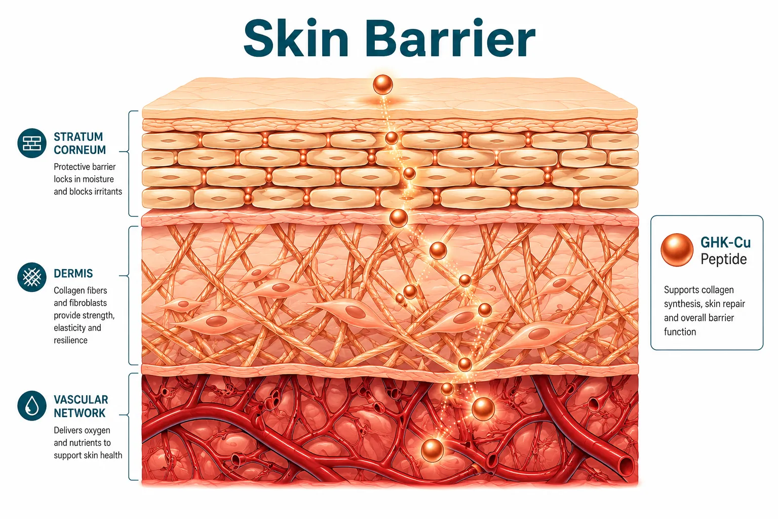 Skin-Barrier Endpoints