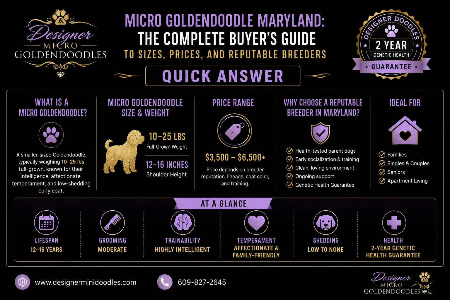 micro goldendoodle Maryland