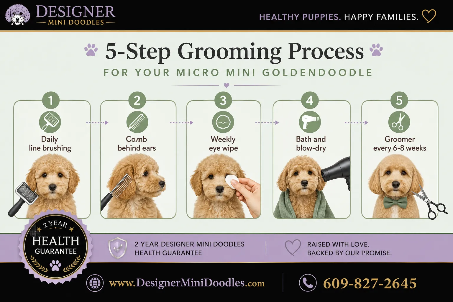 What are micro mini goldendoodle grooming requirements?