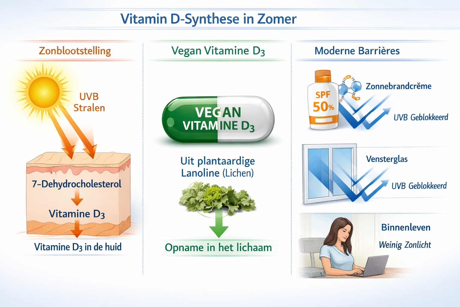 Scientific diagram (1536x1024) illustrating vitamin D synthesis process in summer conditions: left side shows traditional sun exposure pathw