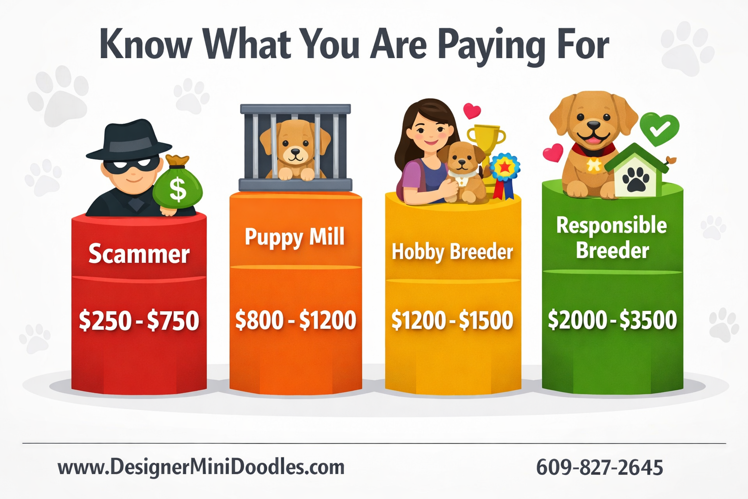 Mini golden doodles nearby