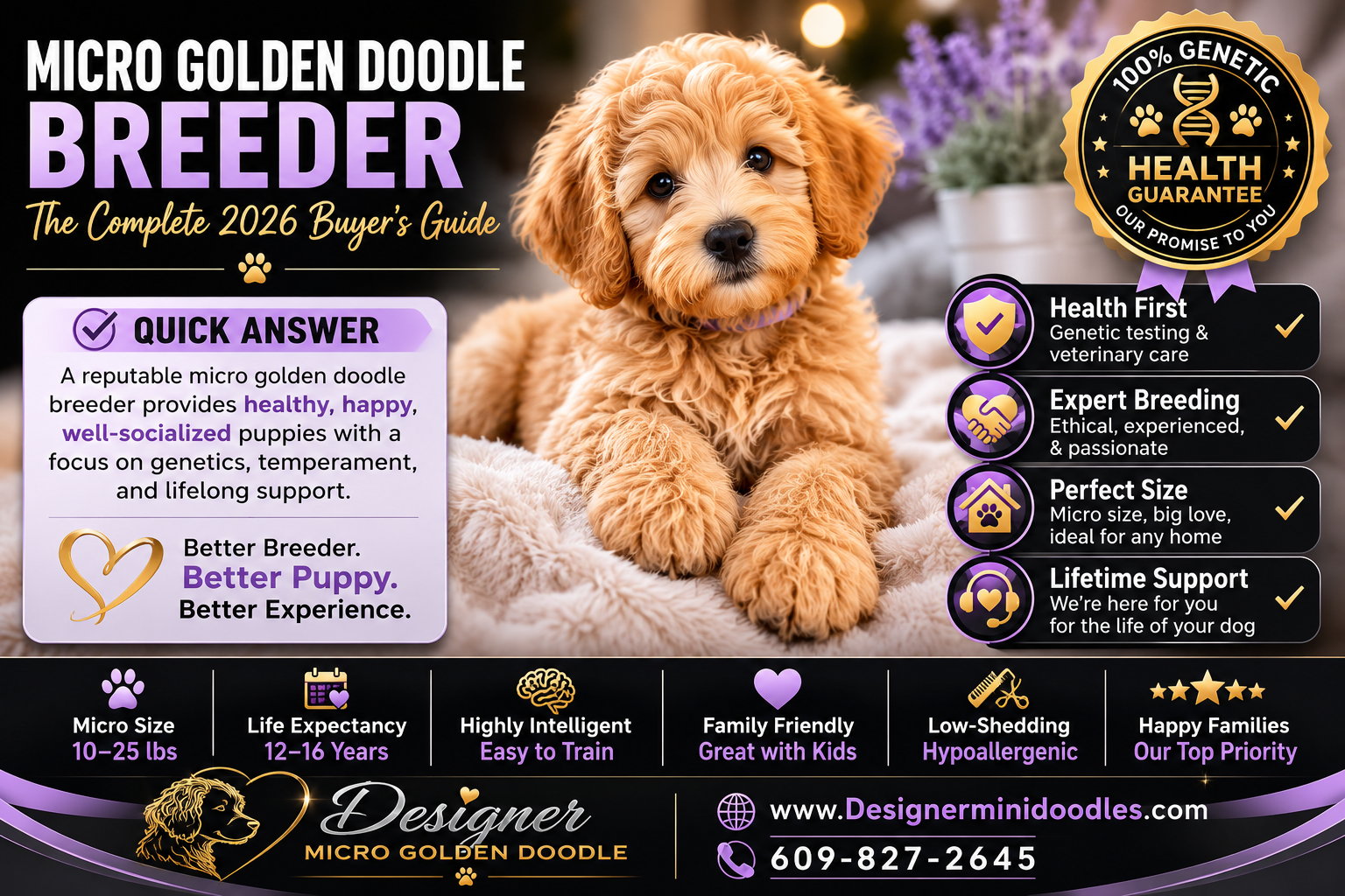 micro golden doodle breeder