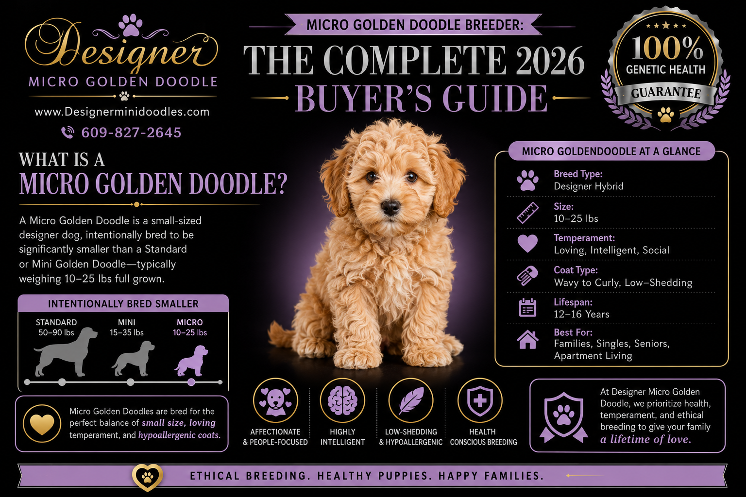 micro golden doodle breeder