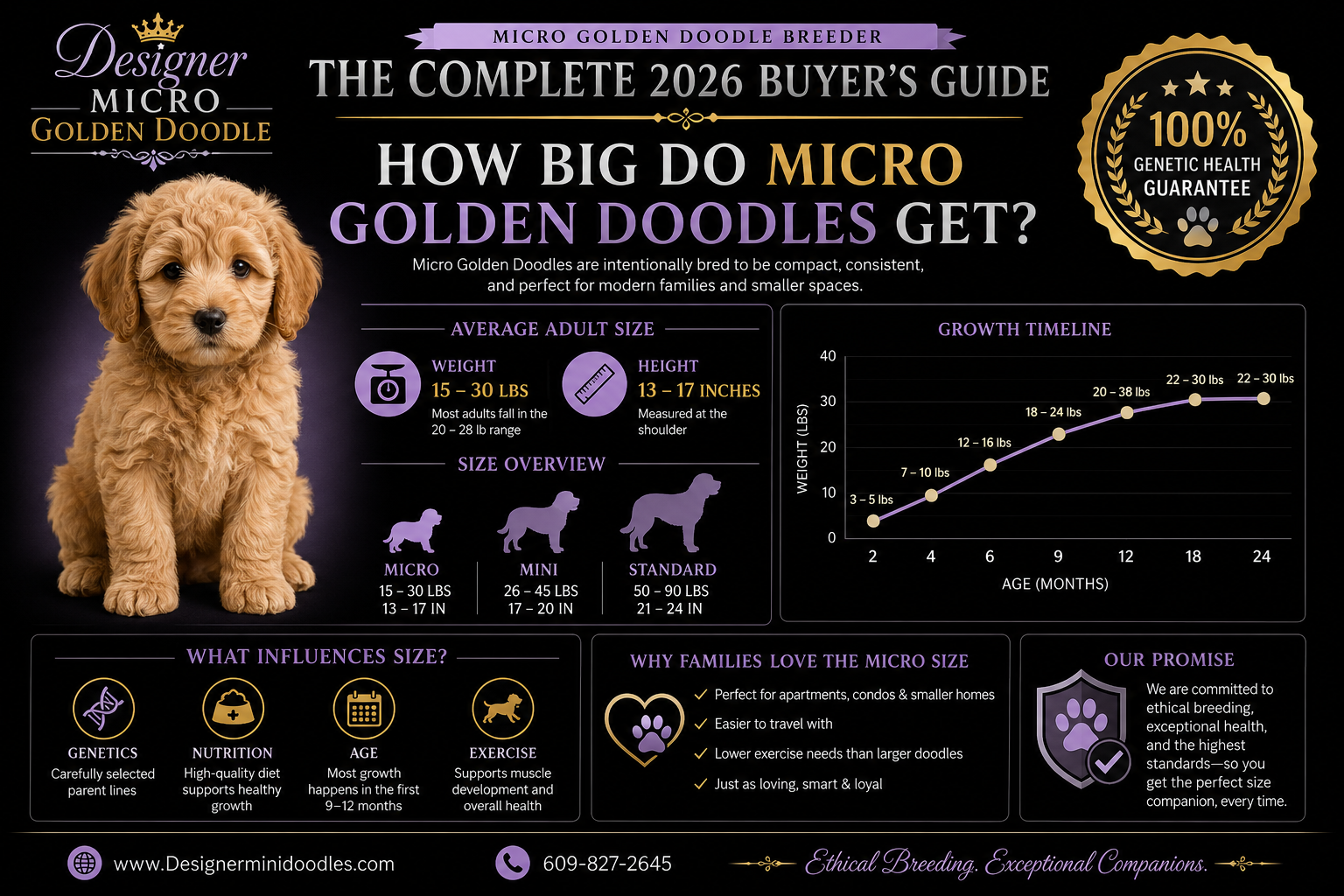 micro golden doodle breeder