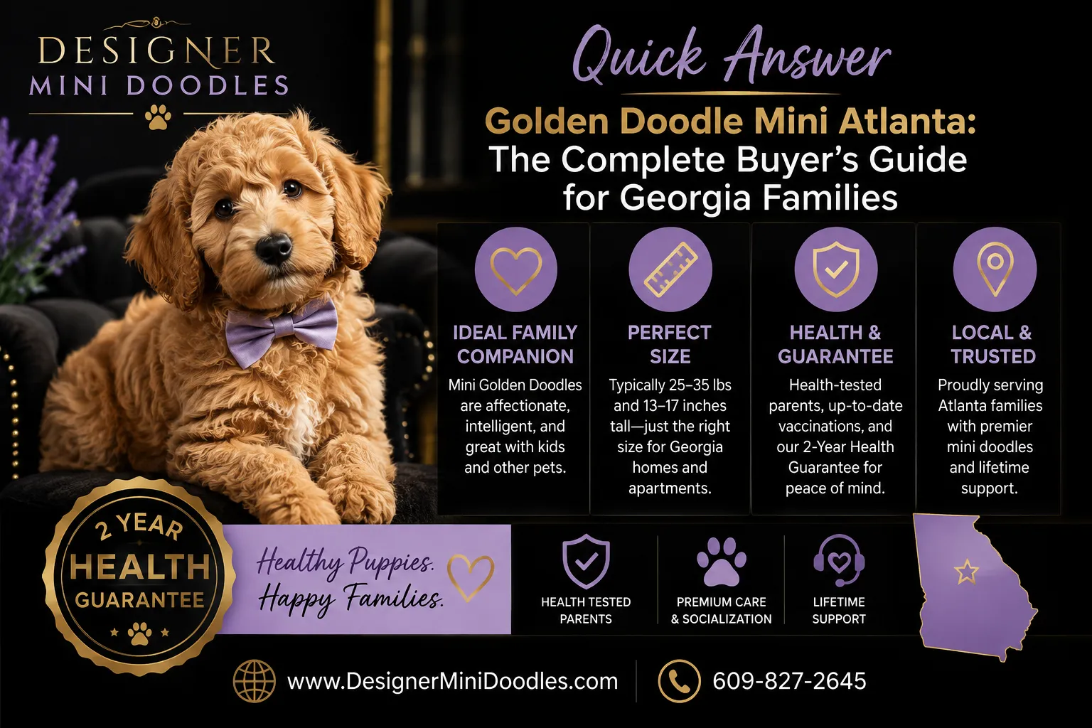 golden doodle mini Atlanta