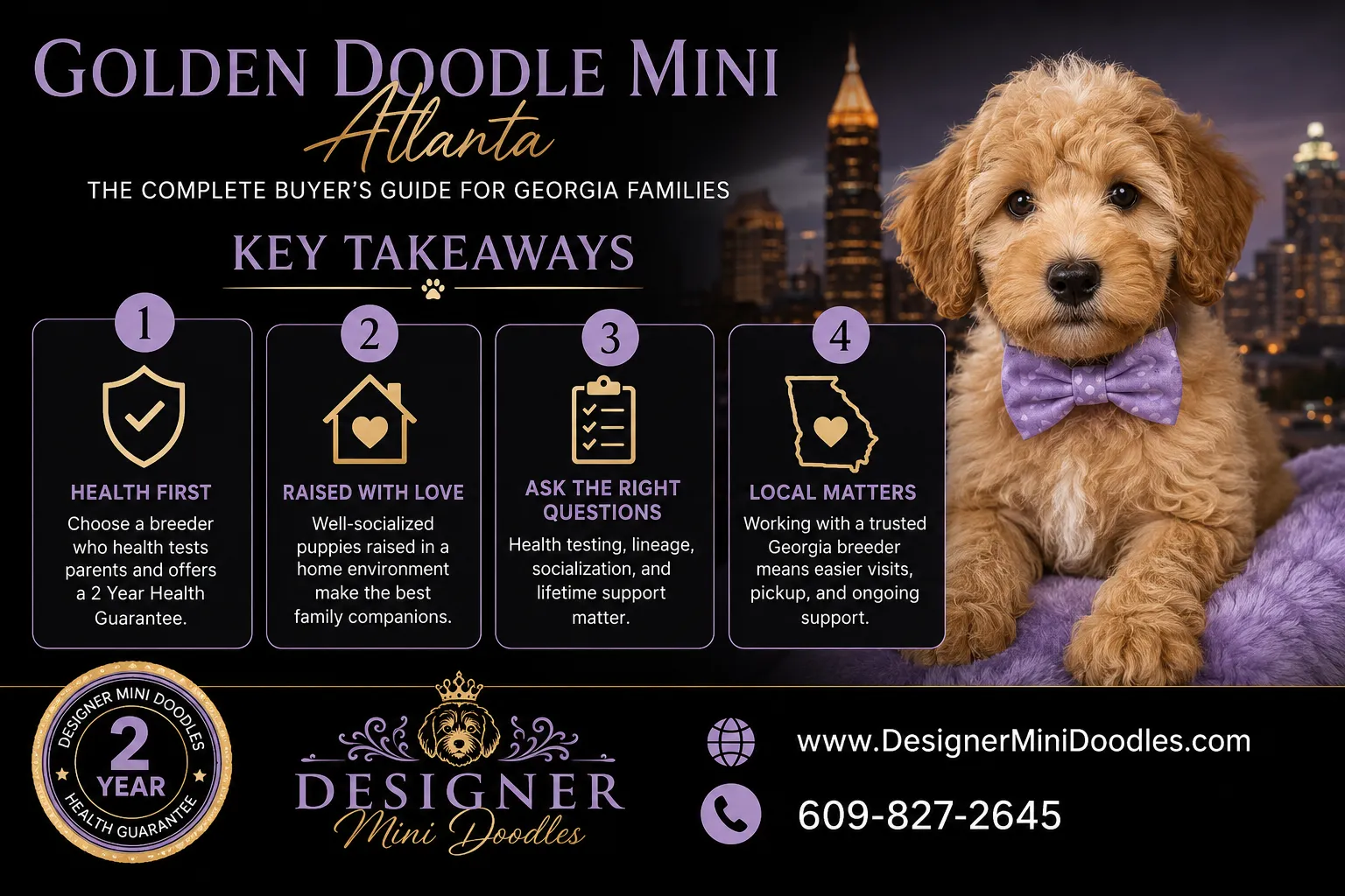 golden doodle mini Atlanta