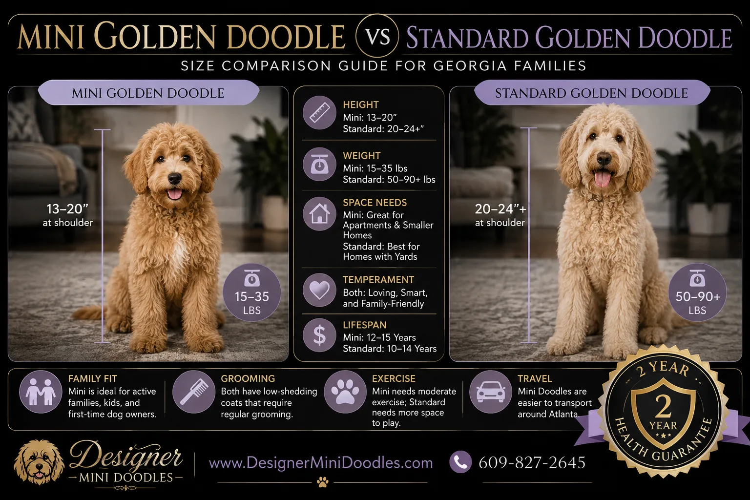 golden doodle mini Atlanta