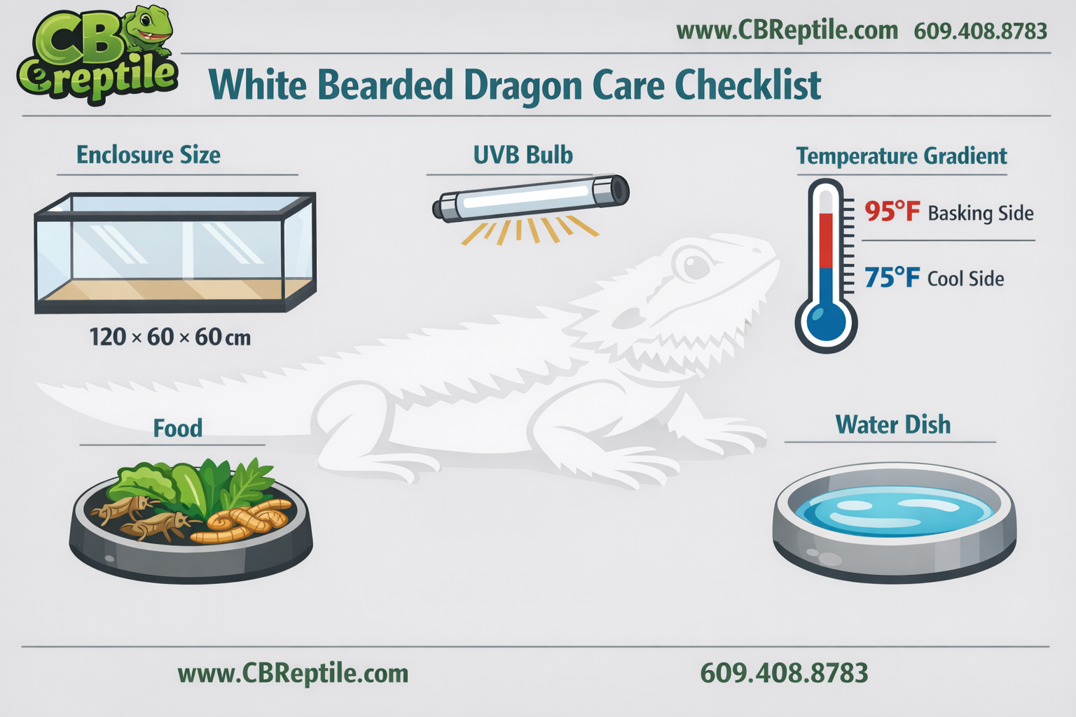 () infographic-style image showing a white bearded dragon care checklist: enclosure size diagram (120x60x60cm), UVB bulb