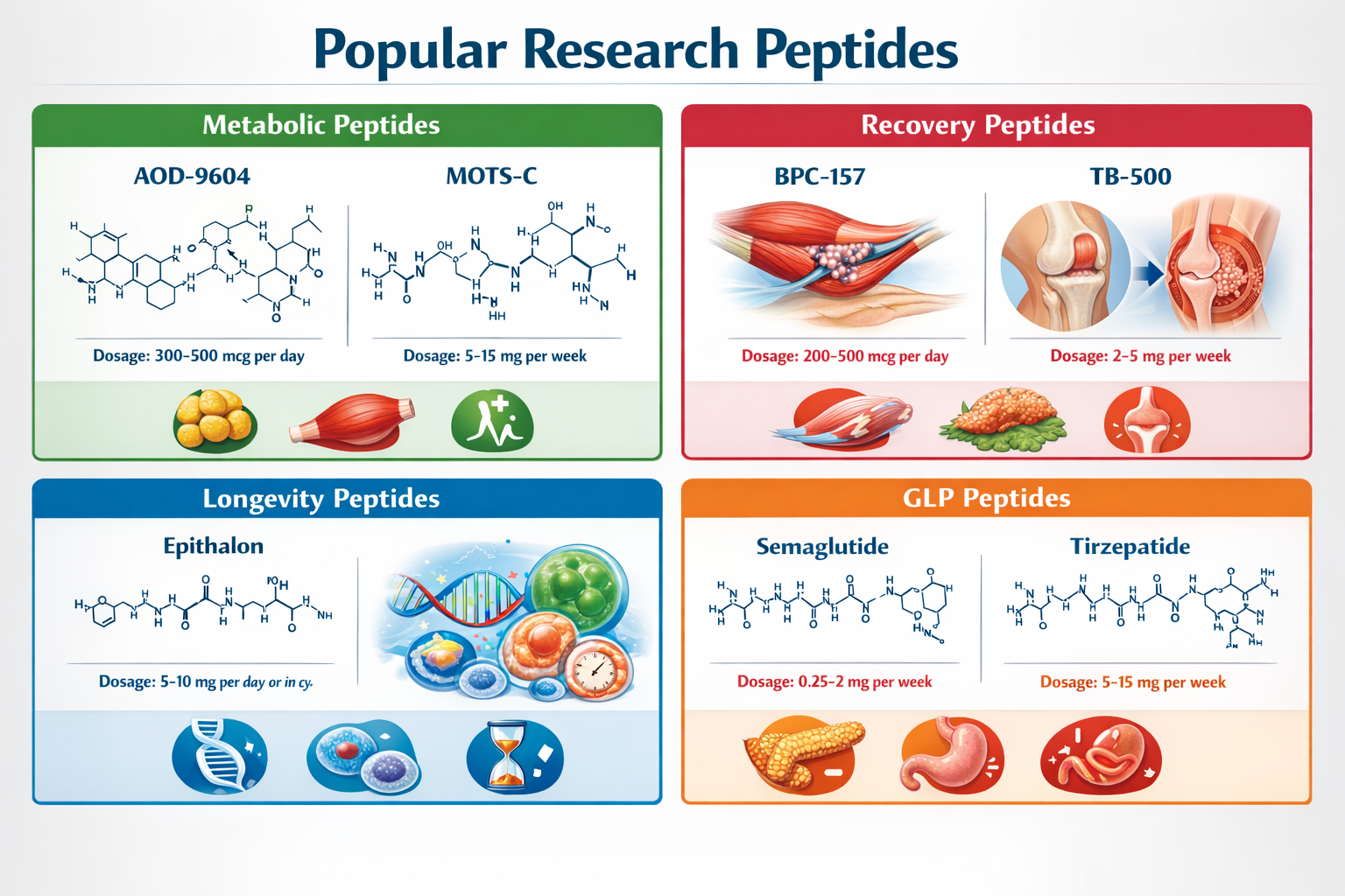 Comprehensive landscape chart (1536x1024) displaying popular research peptides organized by category with visual representations: metabolic 