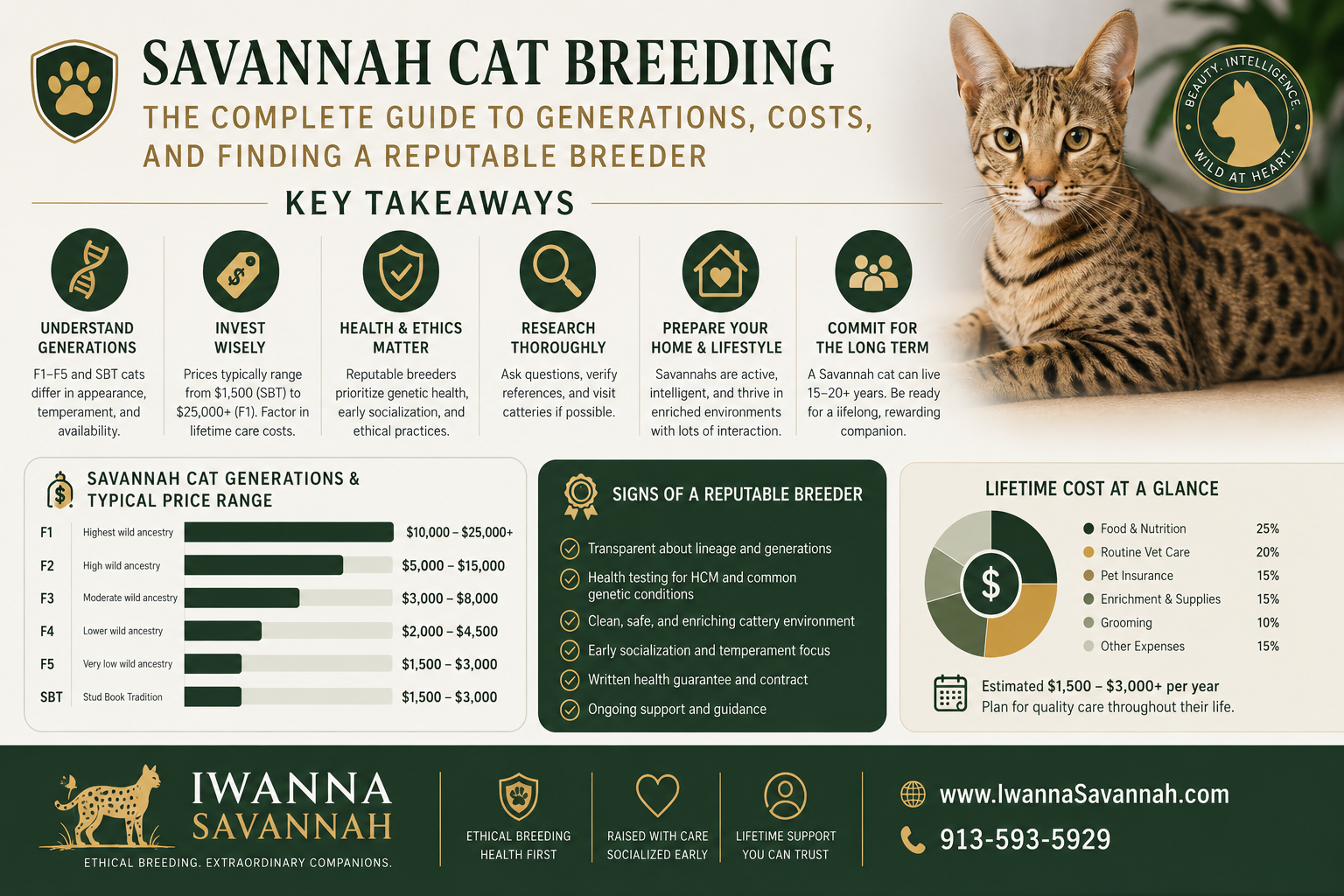 Savannah Cat Breeding