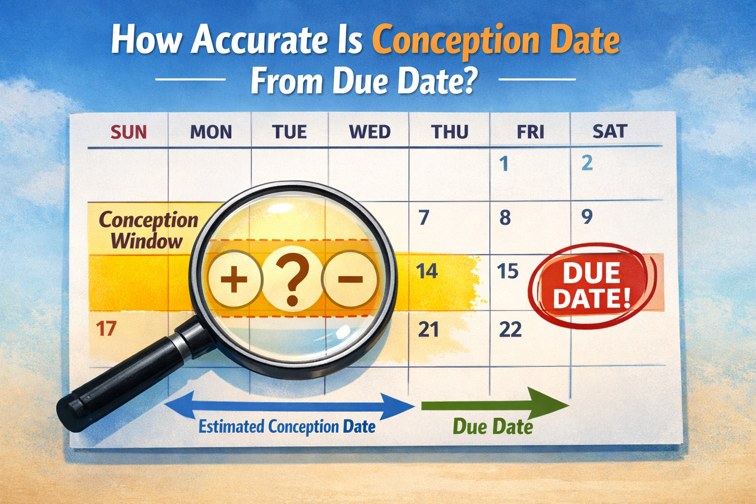 () image illustrating the relationship between a due date and estimated conception date, featuring a calendar with a marked