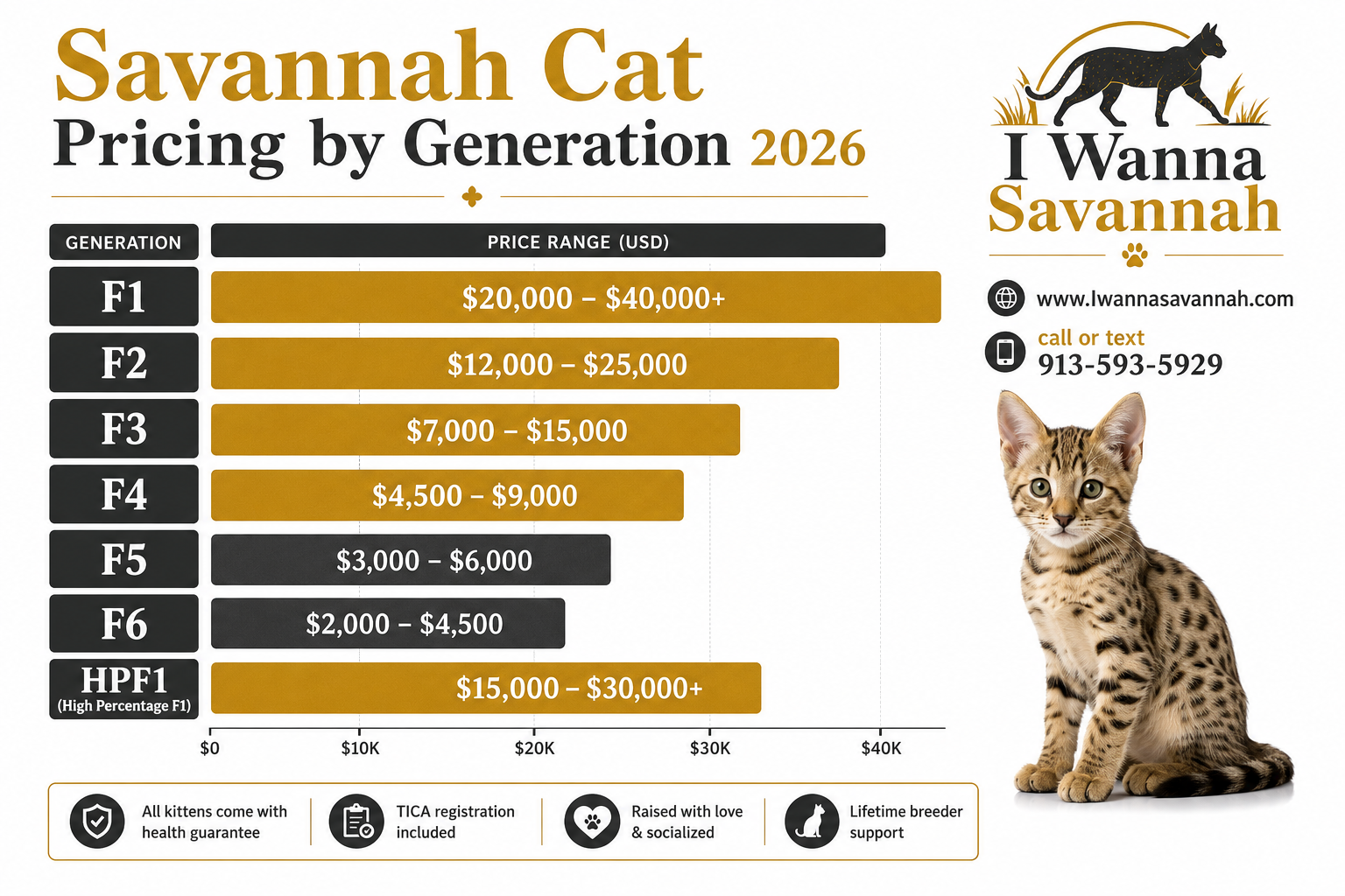 Savannah Cat Pricing by Generation: What to Expect in 2026