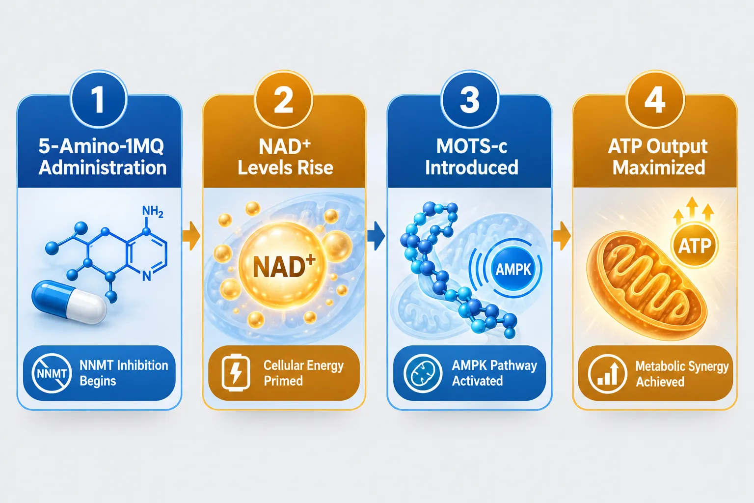 Real-Time Sequencing: How Dual Protocol Design Works in Practice