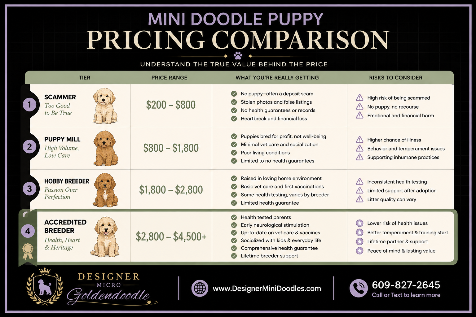 How Much Do Mini Doodles Cost from Breeders