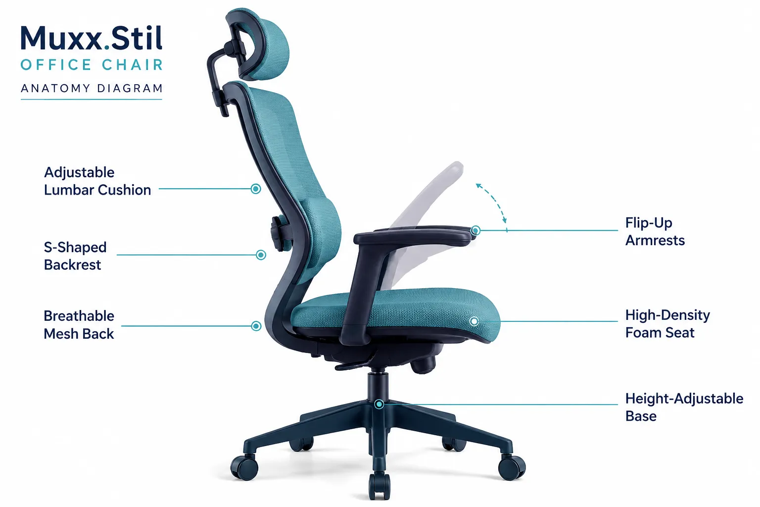 Muxx.Stil Office Chair Annotated anatomy diagram of the Muxx.Stil Office Chair in landscape format (1536x1024): a clean side-profile illustration of the chair with six callout lines pointing to labeled parts: 'Adjustable Lumbar Cushion', 'S-Shaped Backrest', 'Breathable Mesh Back', 'Flip-Up Armrests', 'High-Density Foam Seat', and 'Height-Adjustable Base'. Teal and navy palette on a white background, thin precise callout lines, editorial product-guide polish, no pricing or dollar amounts. What Is the Muxx.Stil Office Chair?