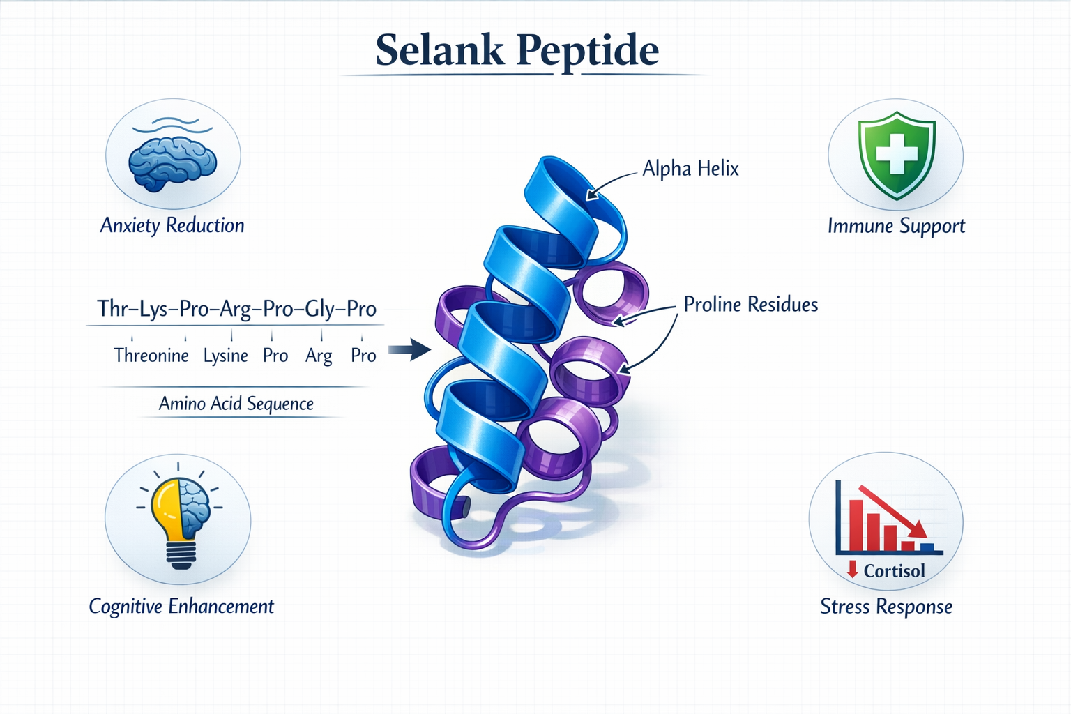 Detailed scientific illustration showing Selank peptide molecular structure with labeled amino acid sequence, 3D ribbon diagram in vibrant b