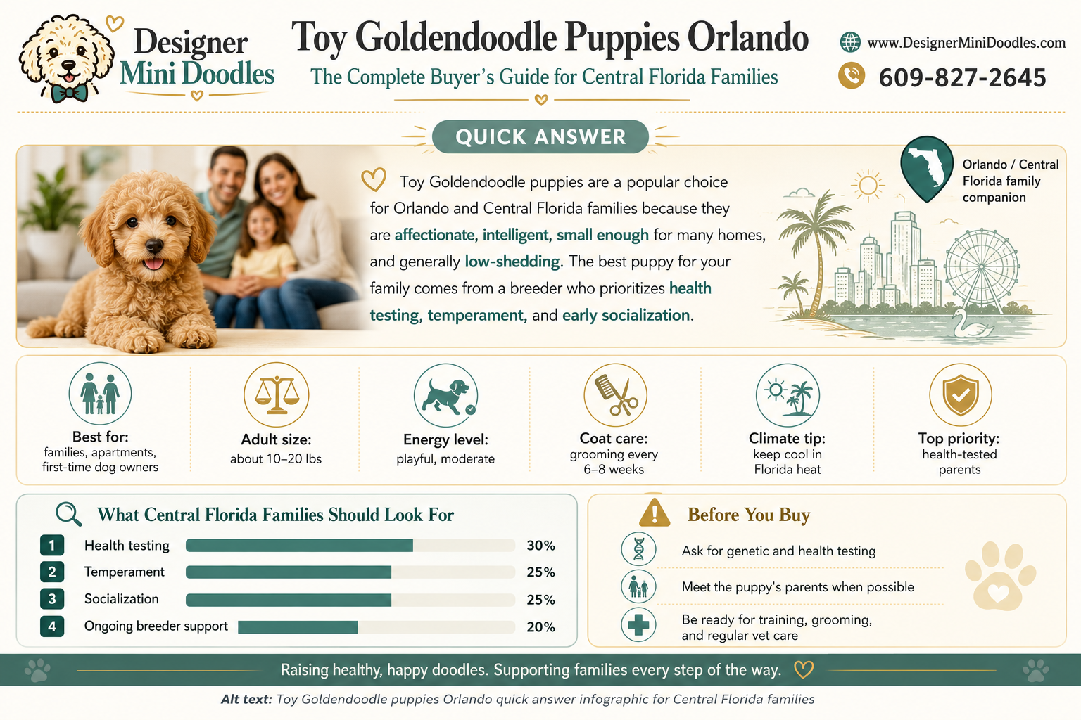 toy goldendoodle puppies Orlando