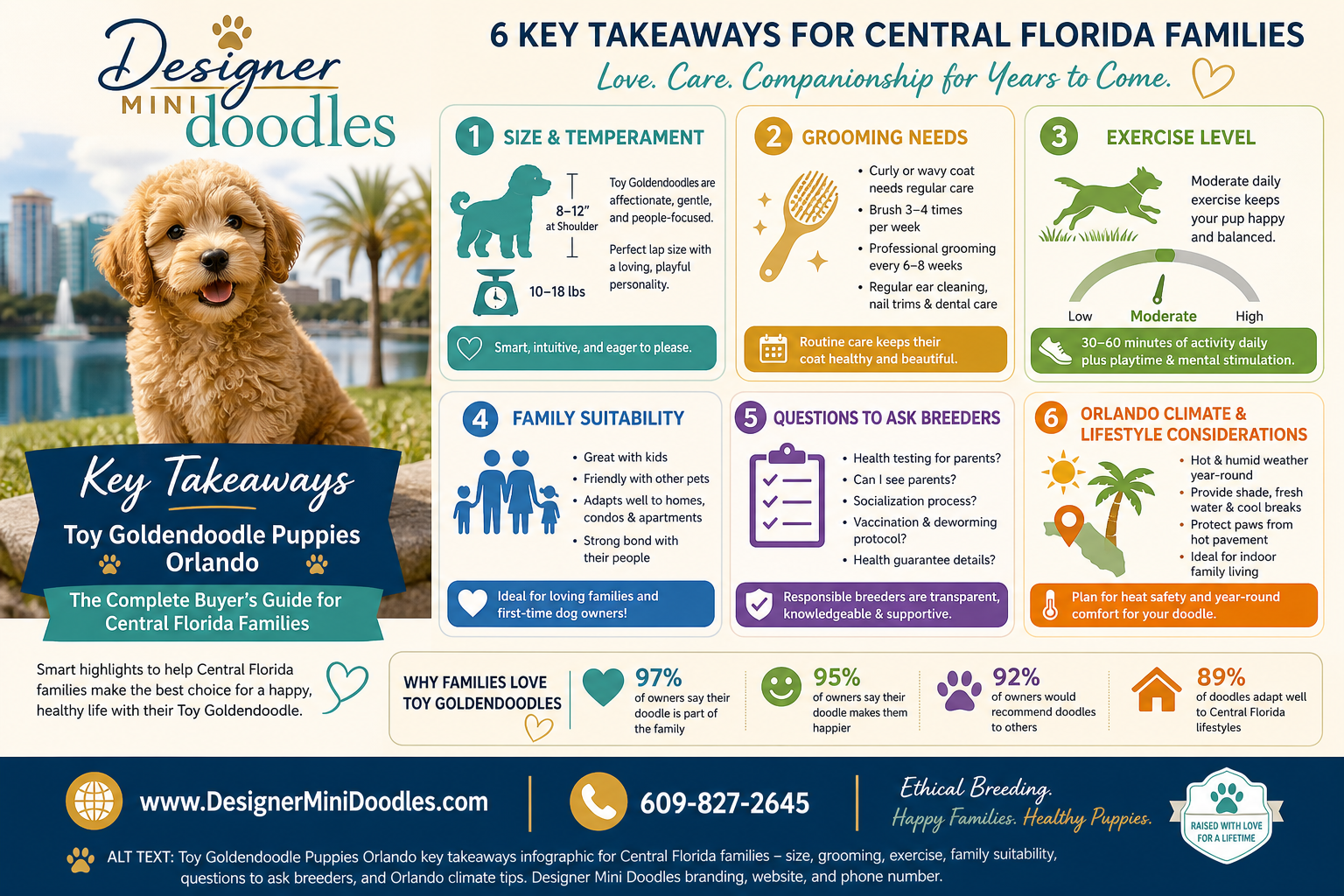 toy goldendoodle puppies Orlando