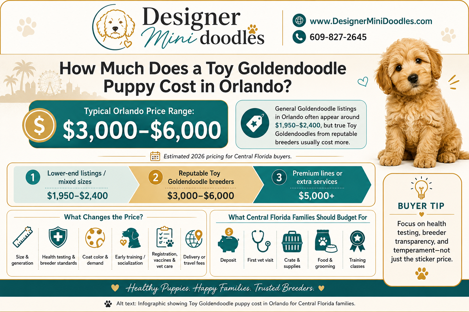 toy goldendoodle puppy cost