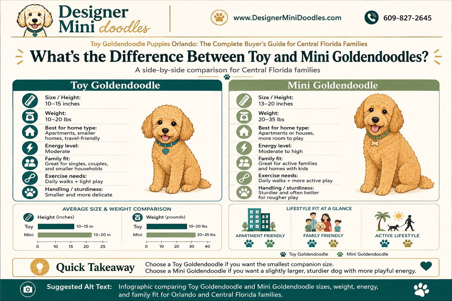 toy goldendoodle puppies Orlando