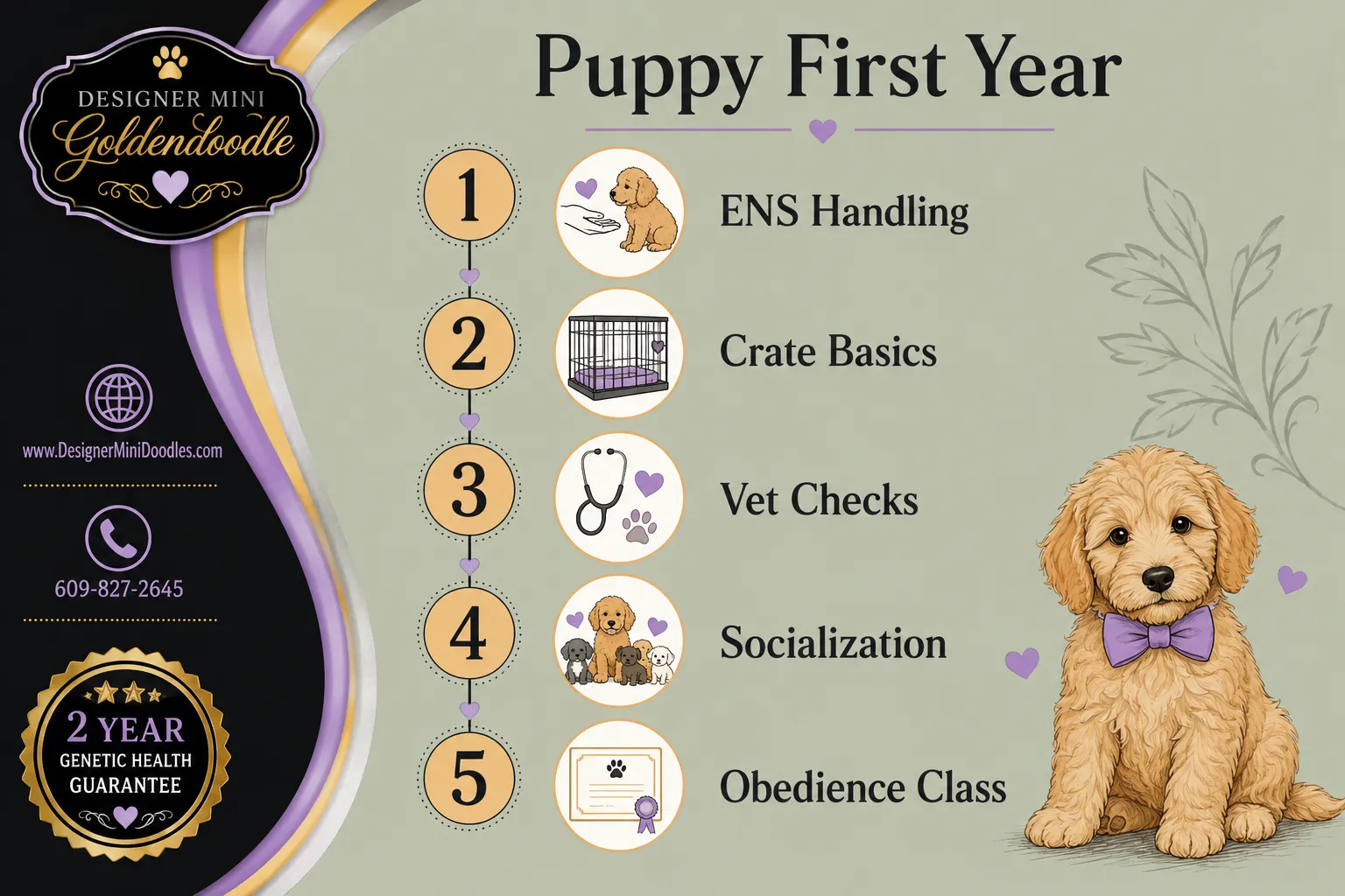 mini goldendoodle California