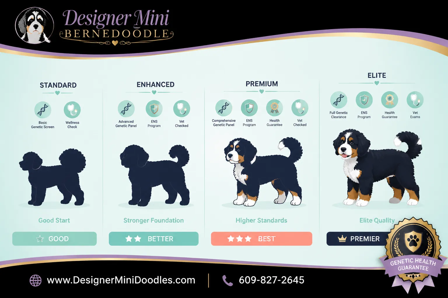 mini bernedoodle puppies Las Vegas
