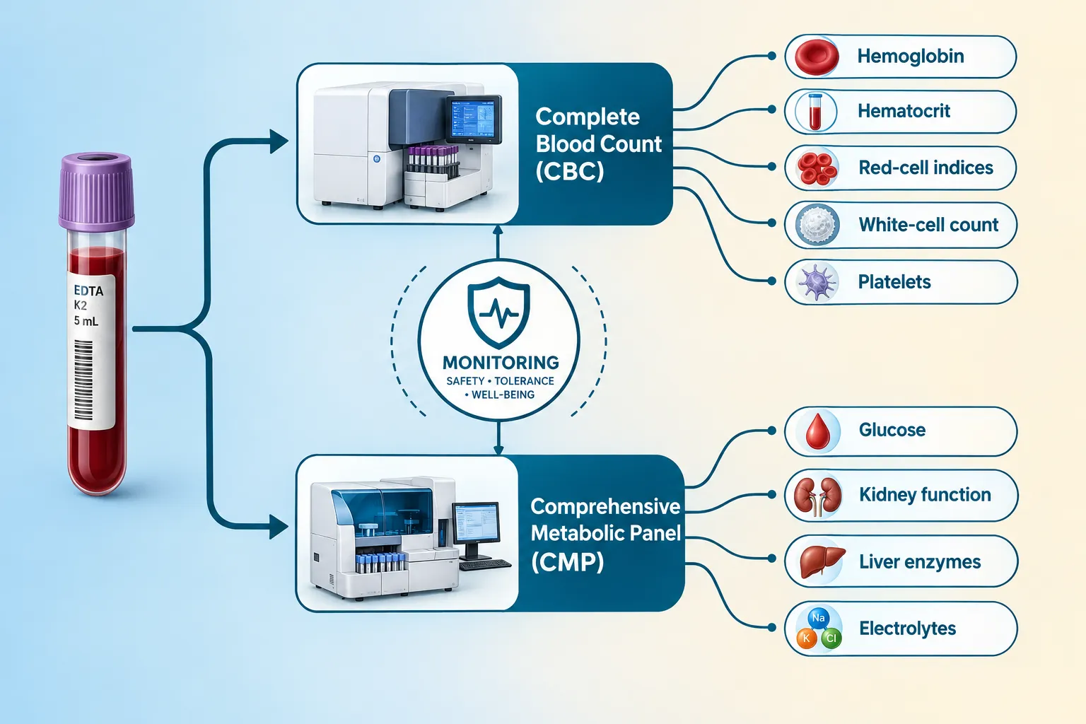 Liver Enzymes and Glucose: Action Thresholds in Peptide Research Safety Monitoring