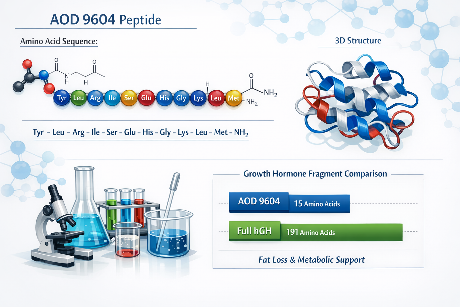 Scientific infographic showing AOD 9604 peptide molecular structure with amino acid sequence highlighted, 3D protein folding visualization, 