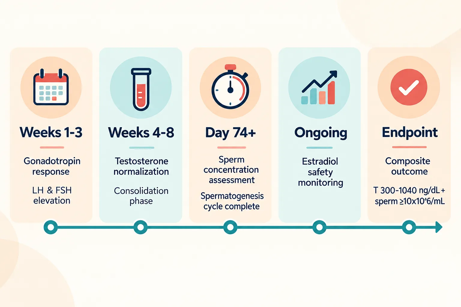 Enclomiphene Research in Male Hormone Models: Fertility Endpoints and Composite Outcome Design