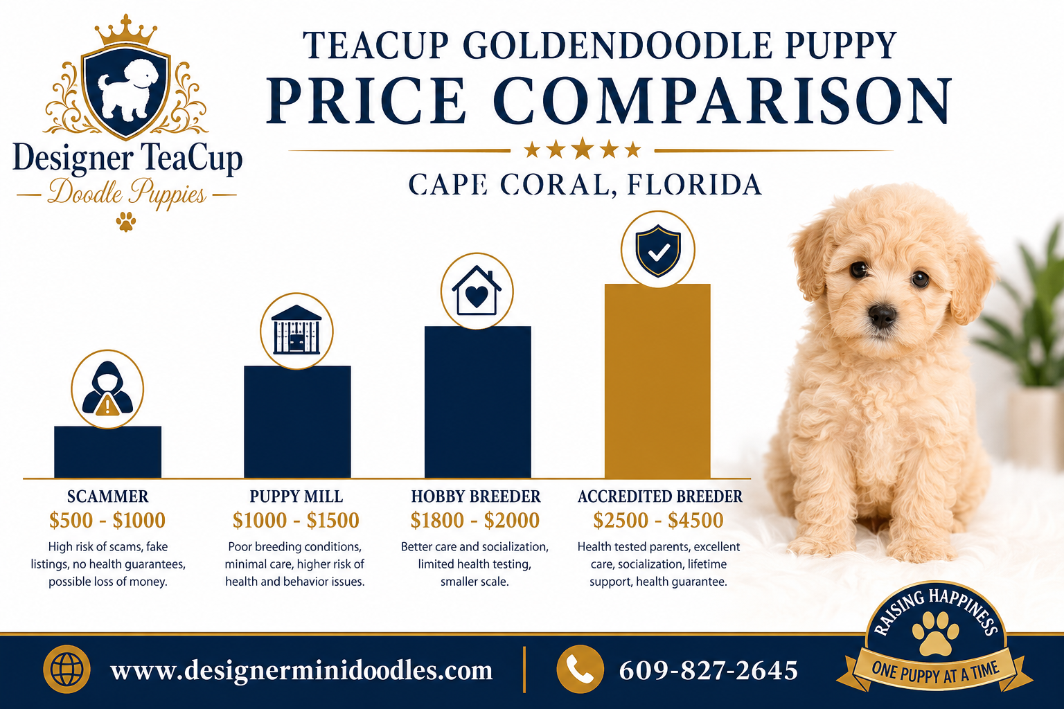 teacup goldendoodles for sale Cape Coral