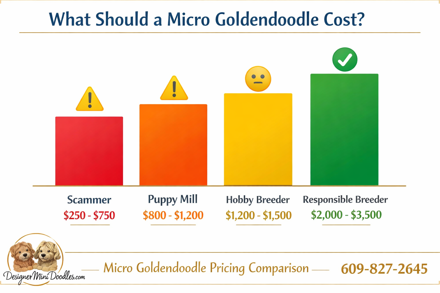 () pricing comparison bar graph infographic with four vertical bars on clean white background: red bar labeled 'Scammer