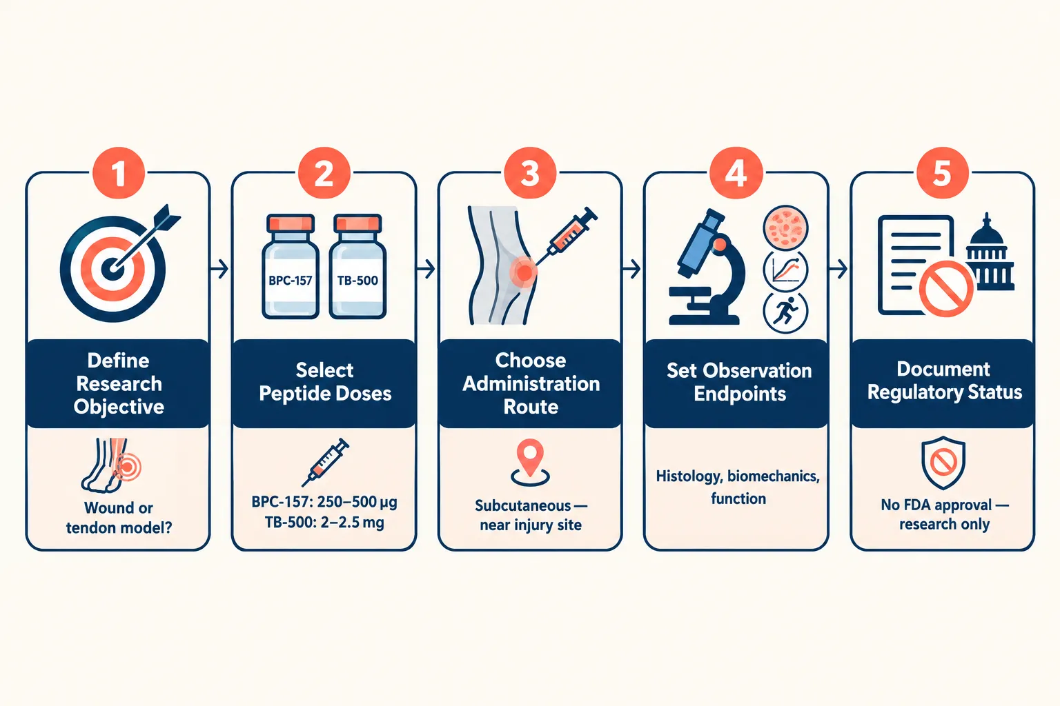 What Researchers Should Know About Designing Combined Tissue Repair Models