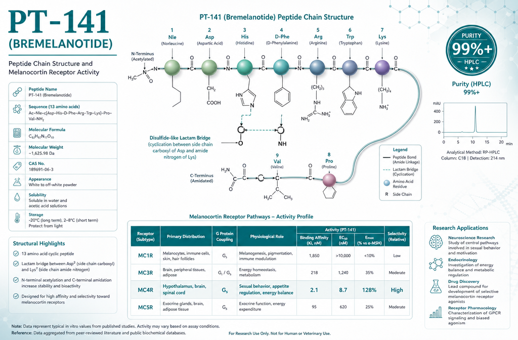 Detailed () infographic-style illustration showing a molecular diagram of the PT-141 (Bremelanotide) peptide chain structure