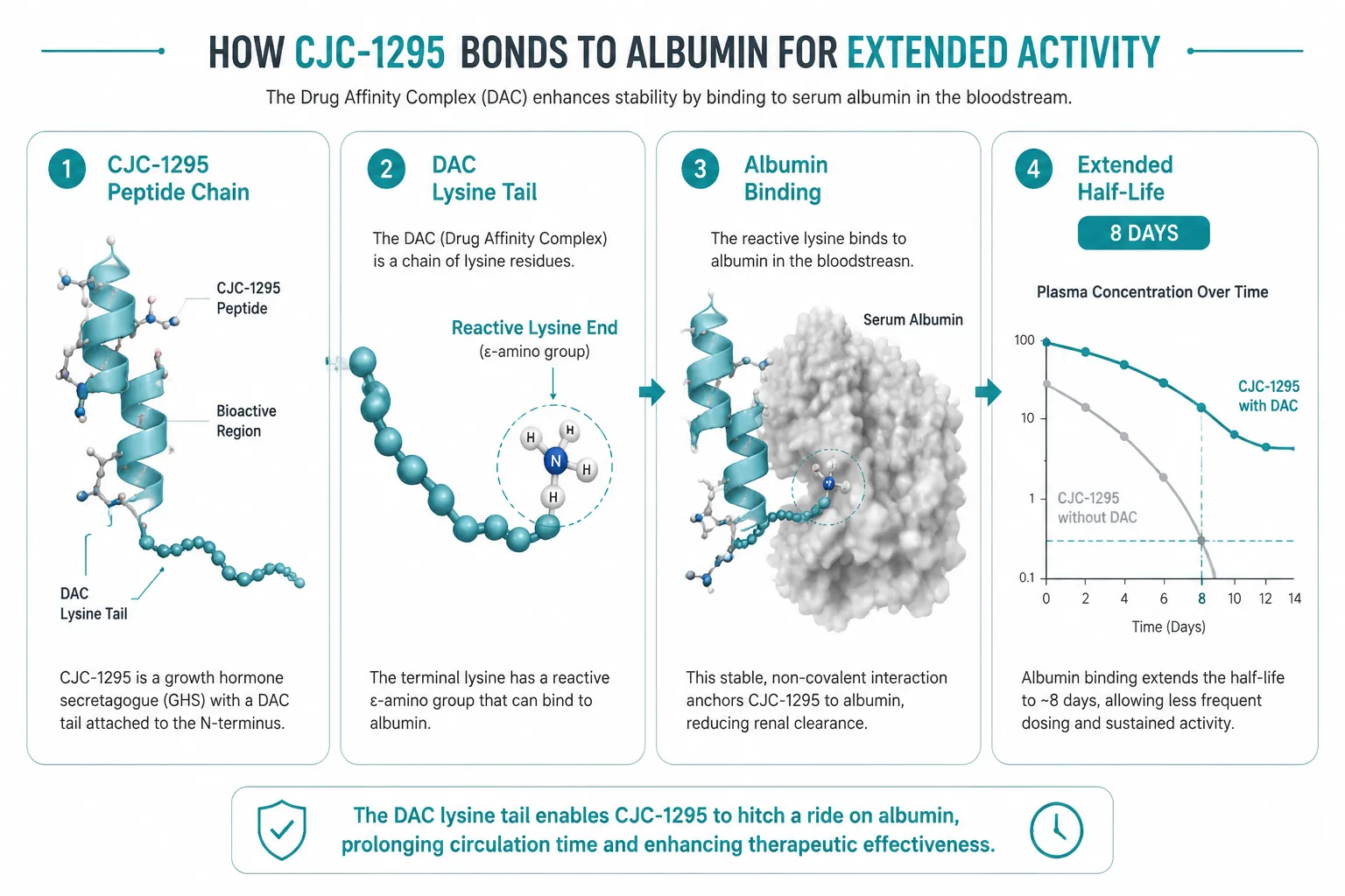 The DAC Mechanism: How One Modification Changes Everything