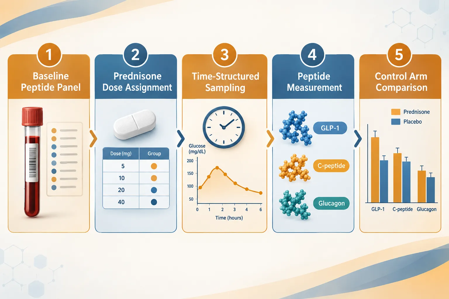 Designing the Glucocorticoid-Control Framework for Glucose, Appetite, and Inflammation Experiments