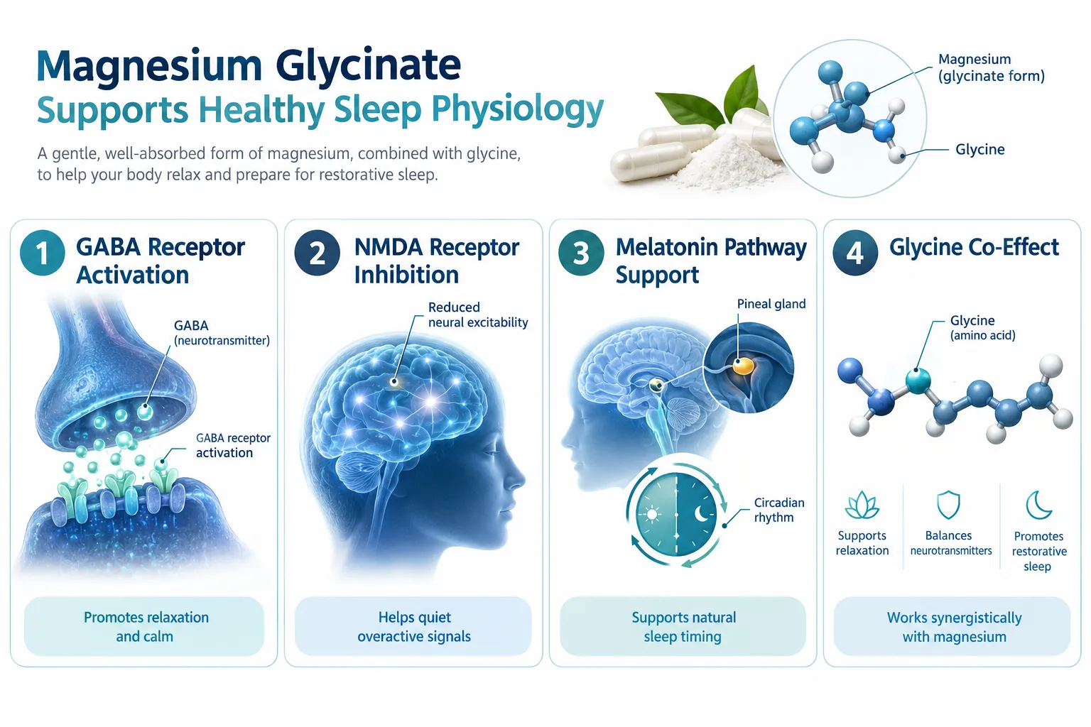 What Magnesium Glycinate and Bisglycinate Actually Are