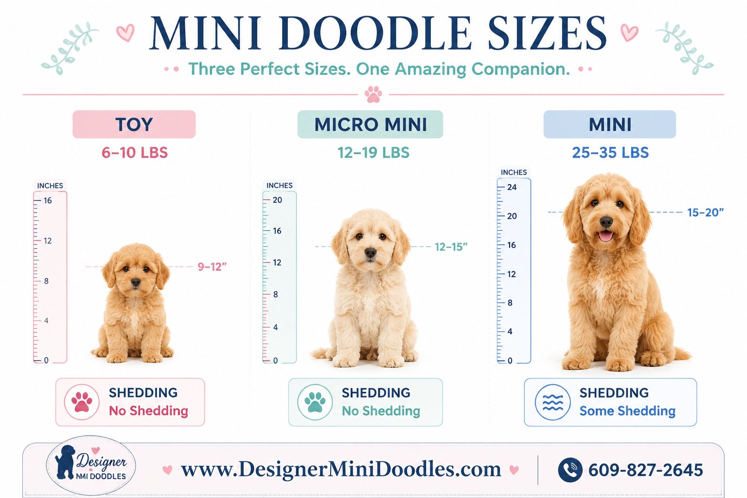 micro goldendoodle size
