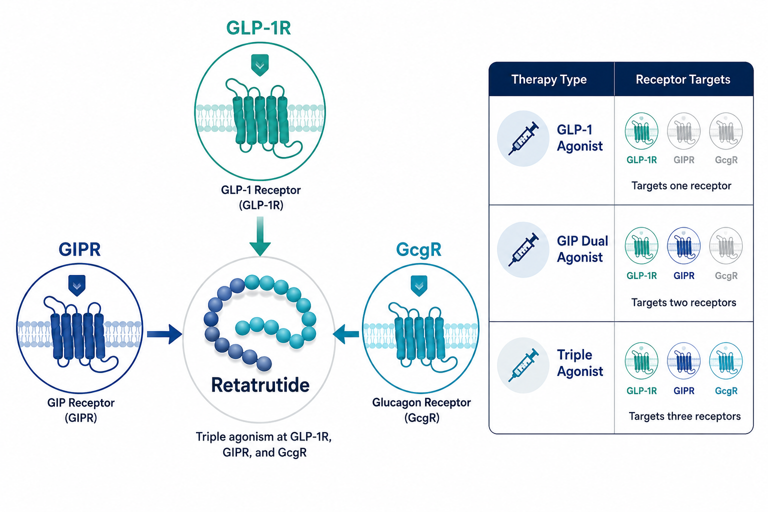 Where the "GLP-3" Label Comes From
