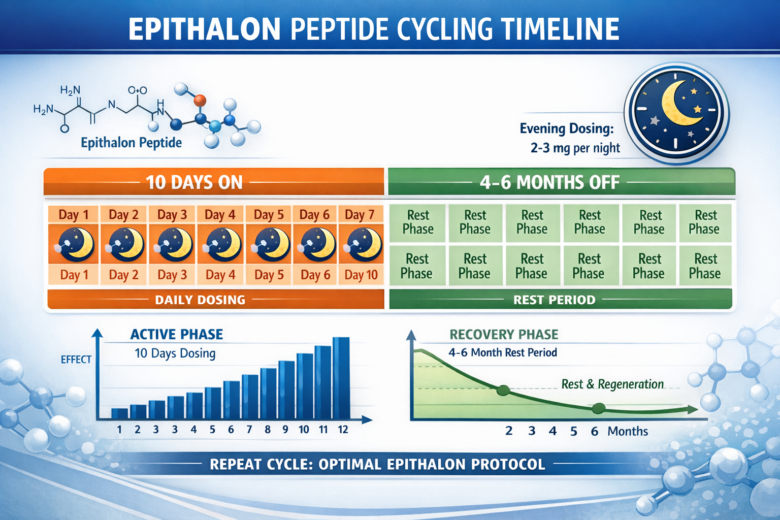 Comprehensive landscape format (1536x1024) infographic displaying epithalon peptide cycling timeline with calendar grid showing 10-day activ