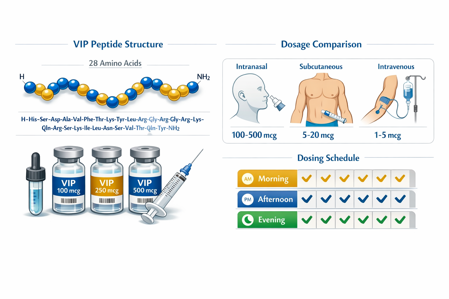 Detailed scientific illustration showing VIP peptide molecular structure with 28 amino acid chain highlighted in blue and gold, alongside do