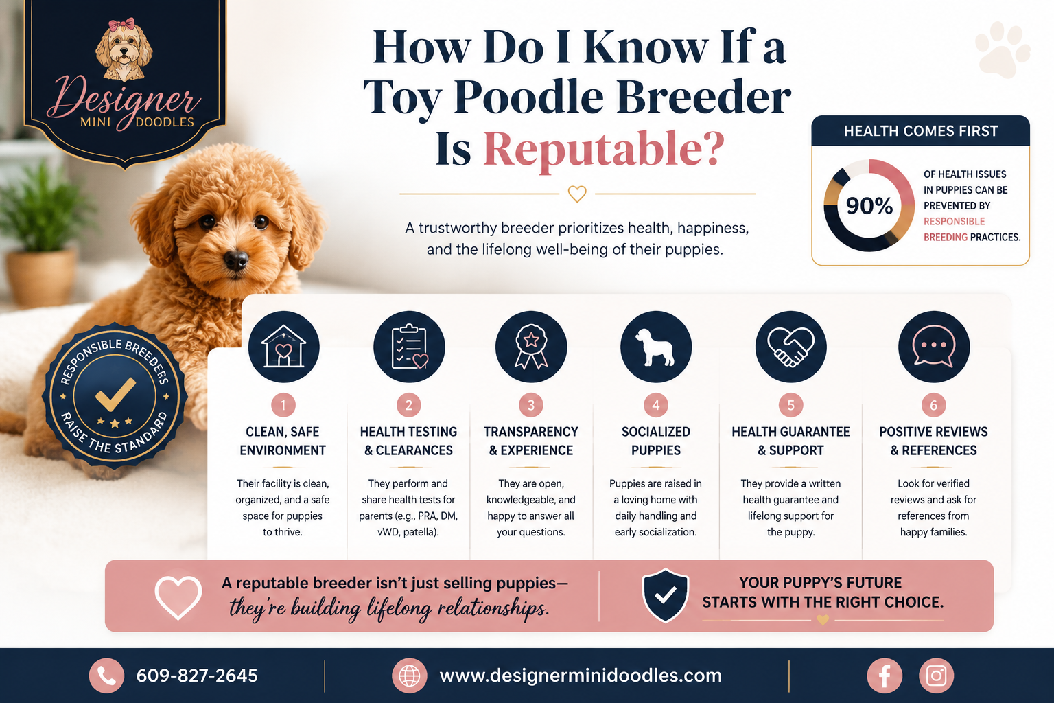 Available Toy Poodle Puppies for Sale