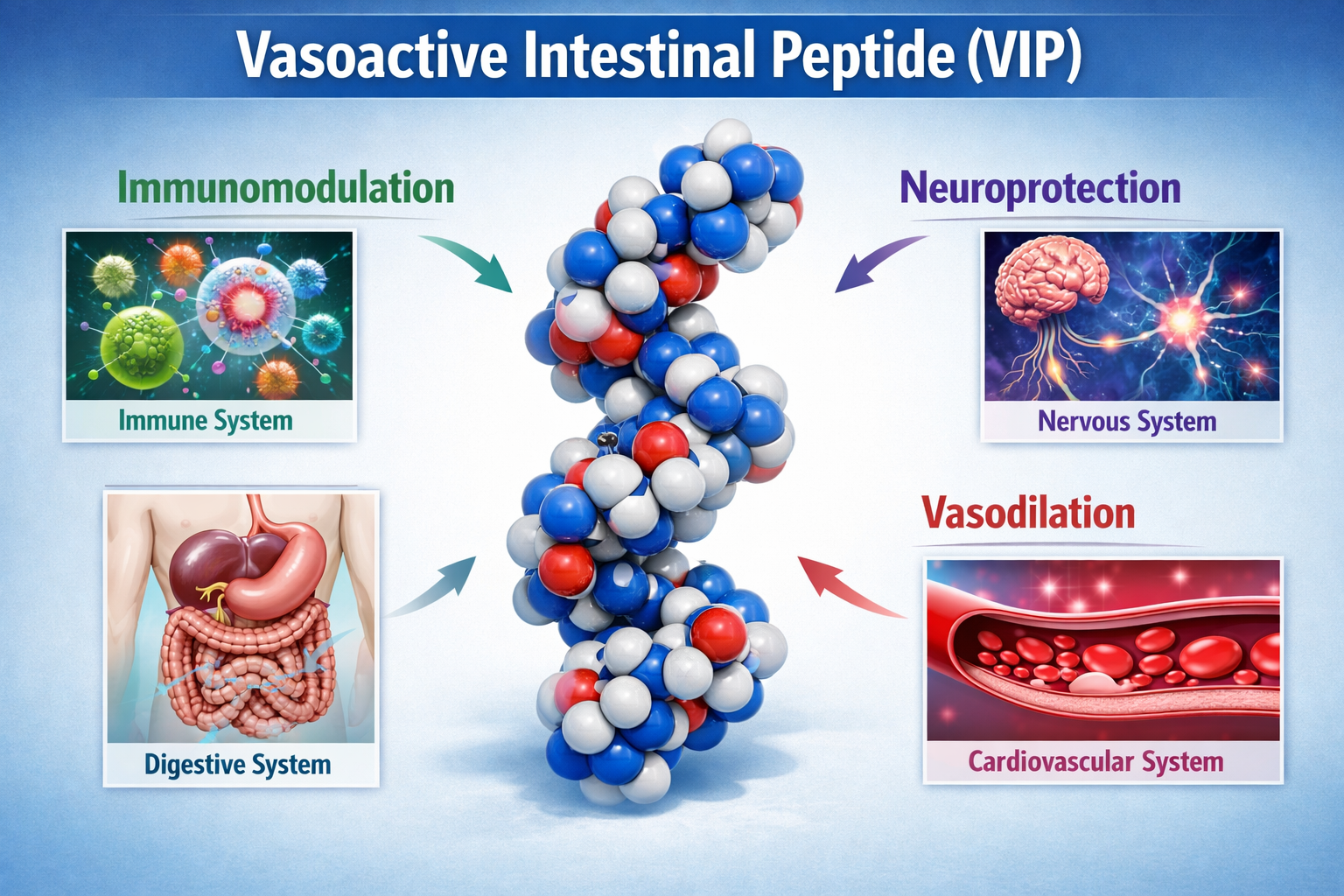 A detailed infographic showing the molecular structure of Vasoactive Intestinal Peptide (VIP) prominently, with smaller inset images illustr